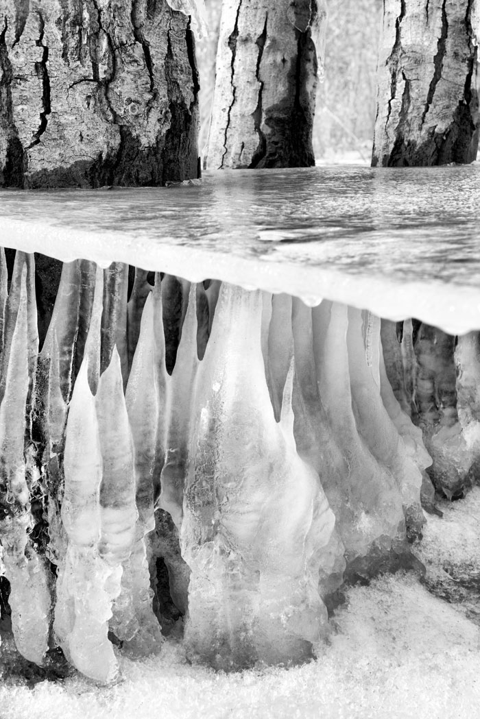 Table for Three, Abraham Lake