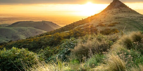 New Zealand - Port-Hills