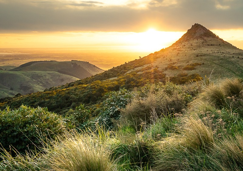 New Zealand - Port Hills